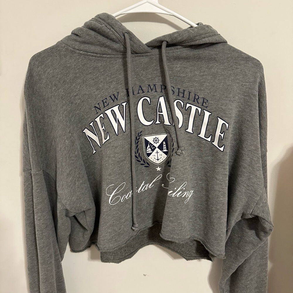 Hollister Gray Cropped Hoodie